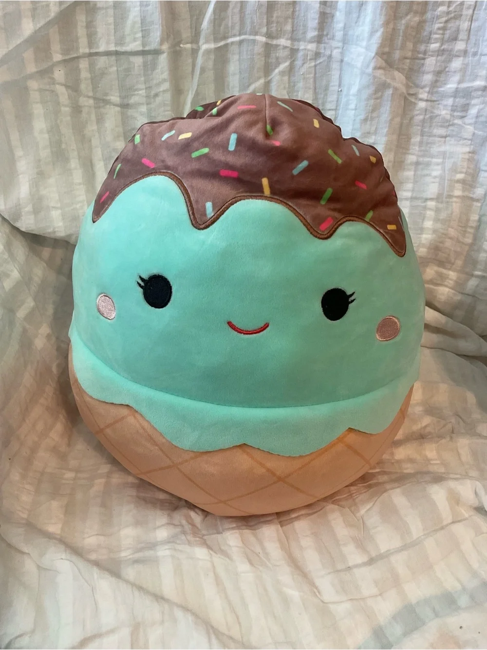 SQUISHMALLOW Plush Mint Ice Cream TOY FLIP OUT & ITS CHANEL THE CINNAMON ROLL 15